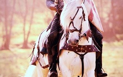 Bestaat mijn prins op het witte paard eigenlijk wel? Mijn droompartner?